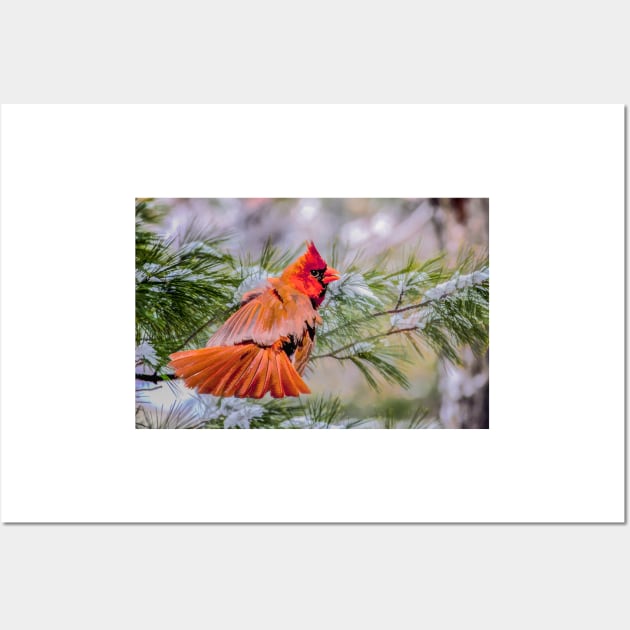 Christmas Cardinal Wall Art by Tarrby